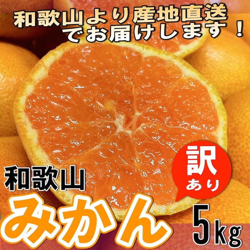 予約販売】和歌山県産 訳あり みかん ミカン 5kg (傷あり サイズ不揃い ご自宅用) 【送料無料】 ＊１０月中旬ごろより順次発送  :wwm-5:YAMATAベジフル.net - 通販 - Yahoo!ショッピング