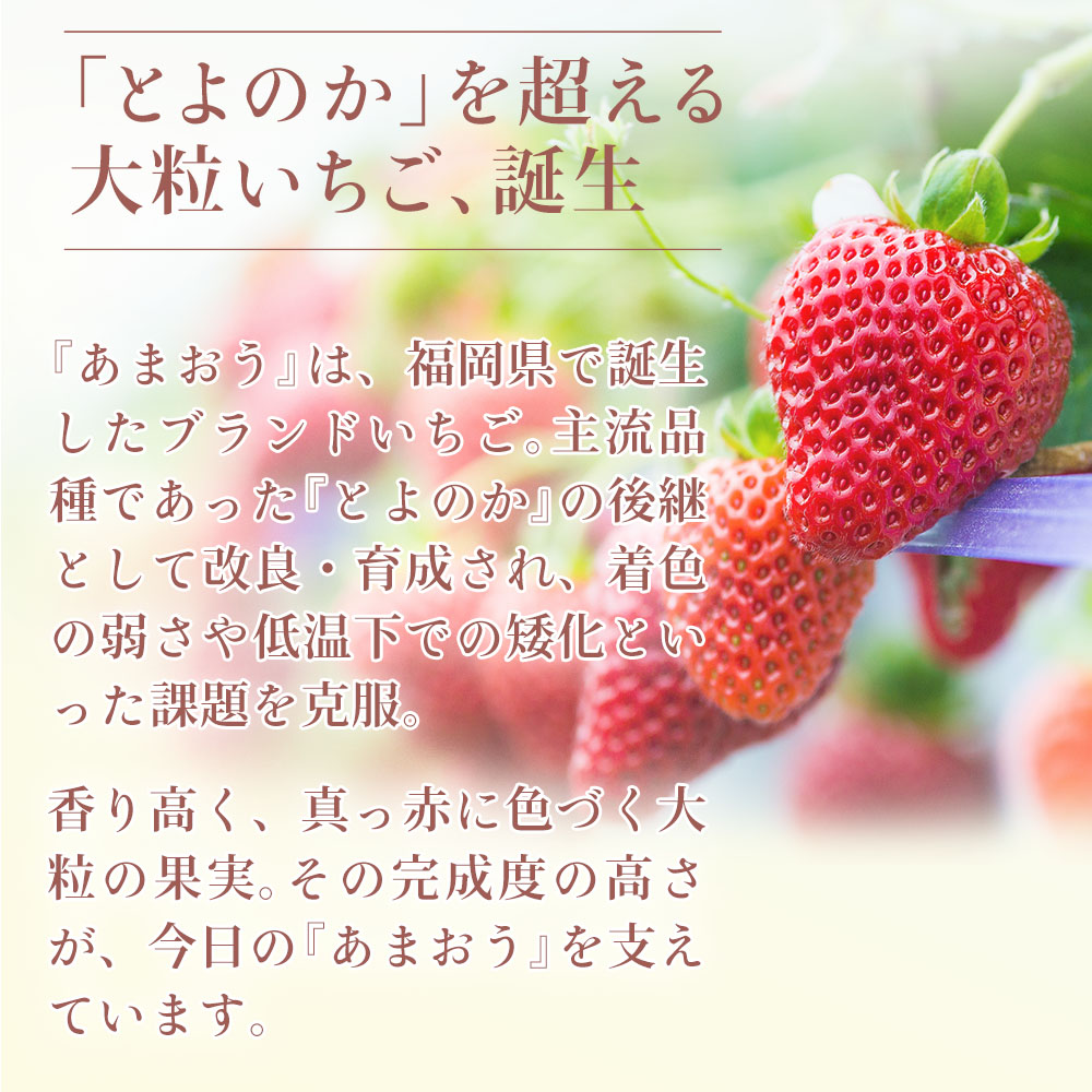 「とよのか」を超える大粒いちご、誕生