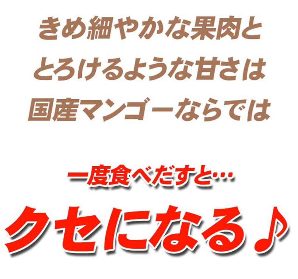 きめ細やかな果肉ととろけるような甘さは国産マンゴーならでは。一度食べ出すとクセになる。