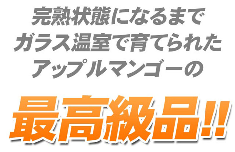 アップルマンゴ−の最高峰