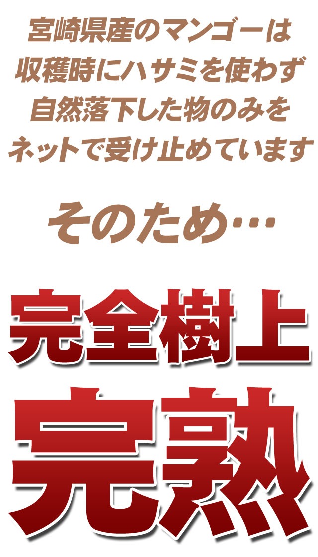 完全樹上完熟