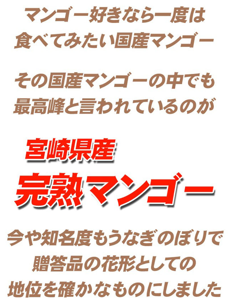 マンゴー好きなら一度は食べてみたい国産マンゴー