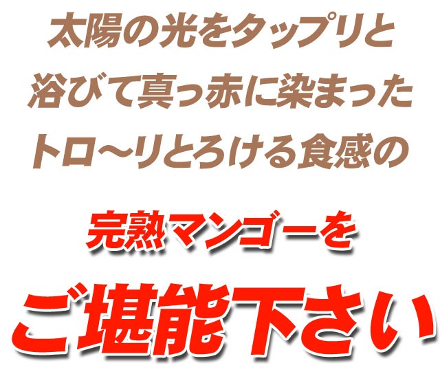 完熟マンゴーをご堪能下さい！