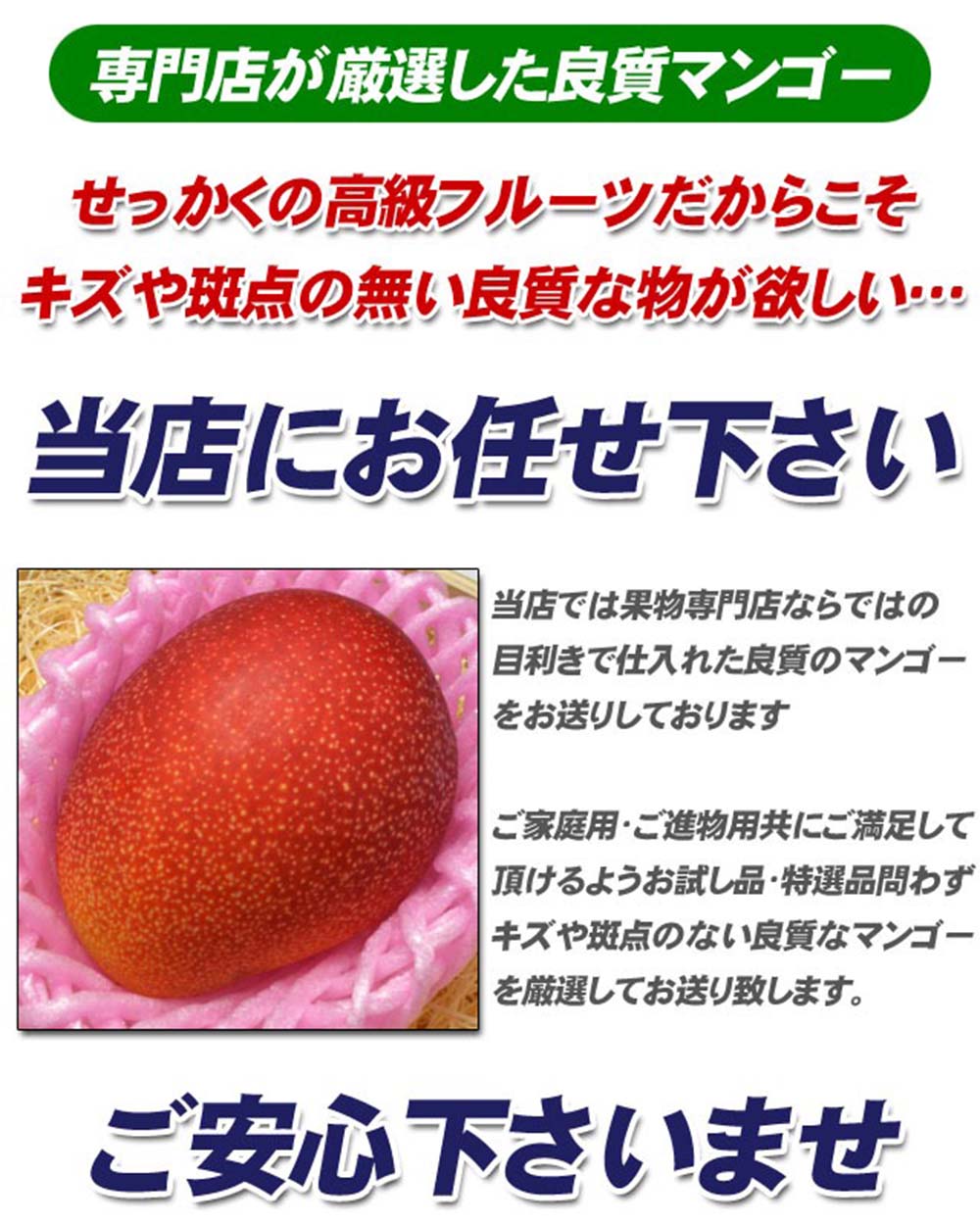 専門店が厳選した良質マンゴー