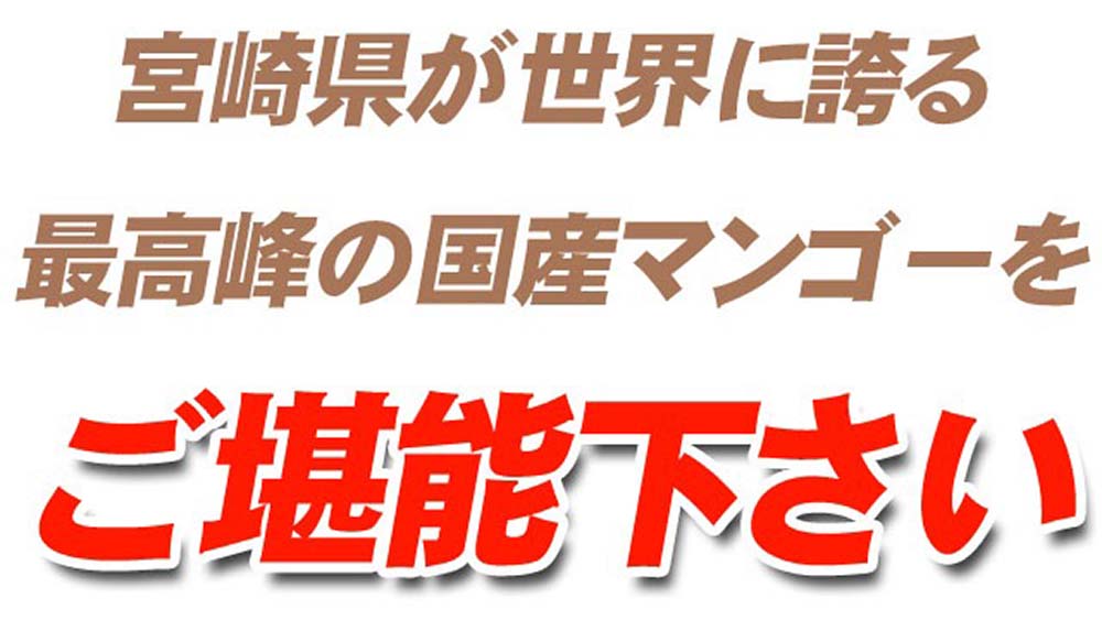 ご堪能下さい