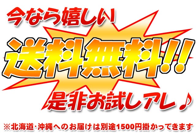 送料無料
