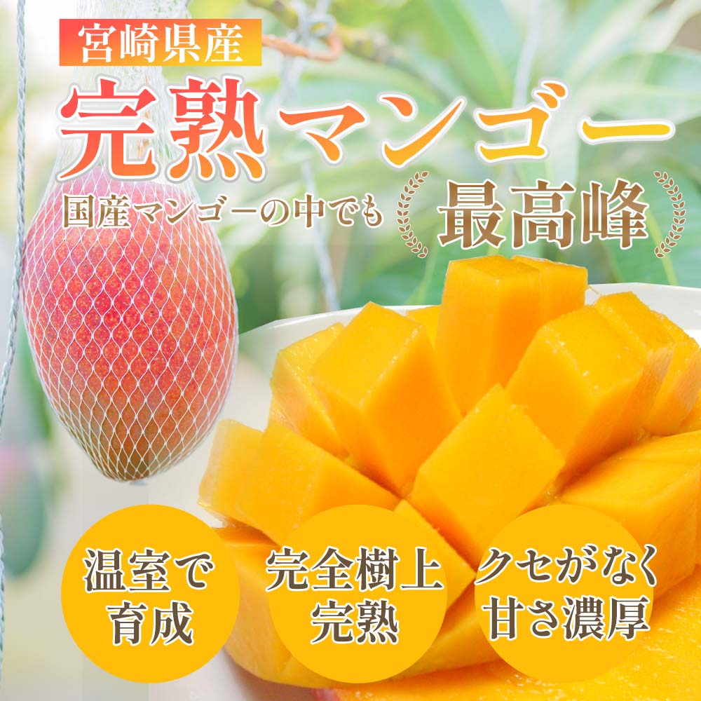 宮崎県産完熟マンゴー