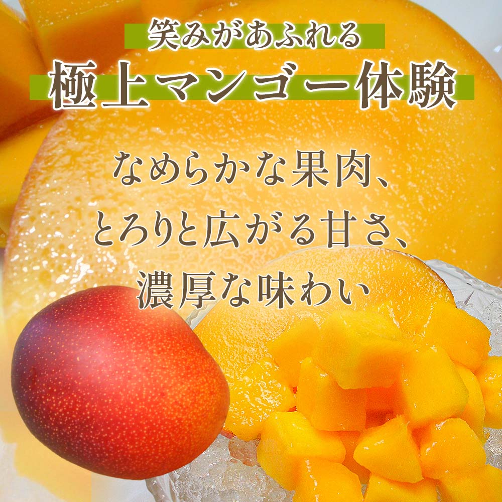 極上マンゴー体験
