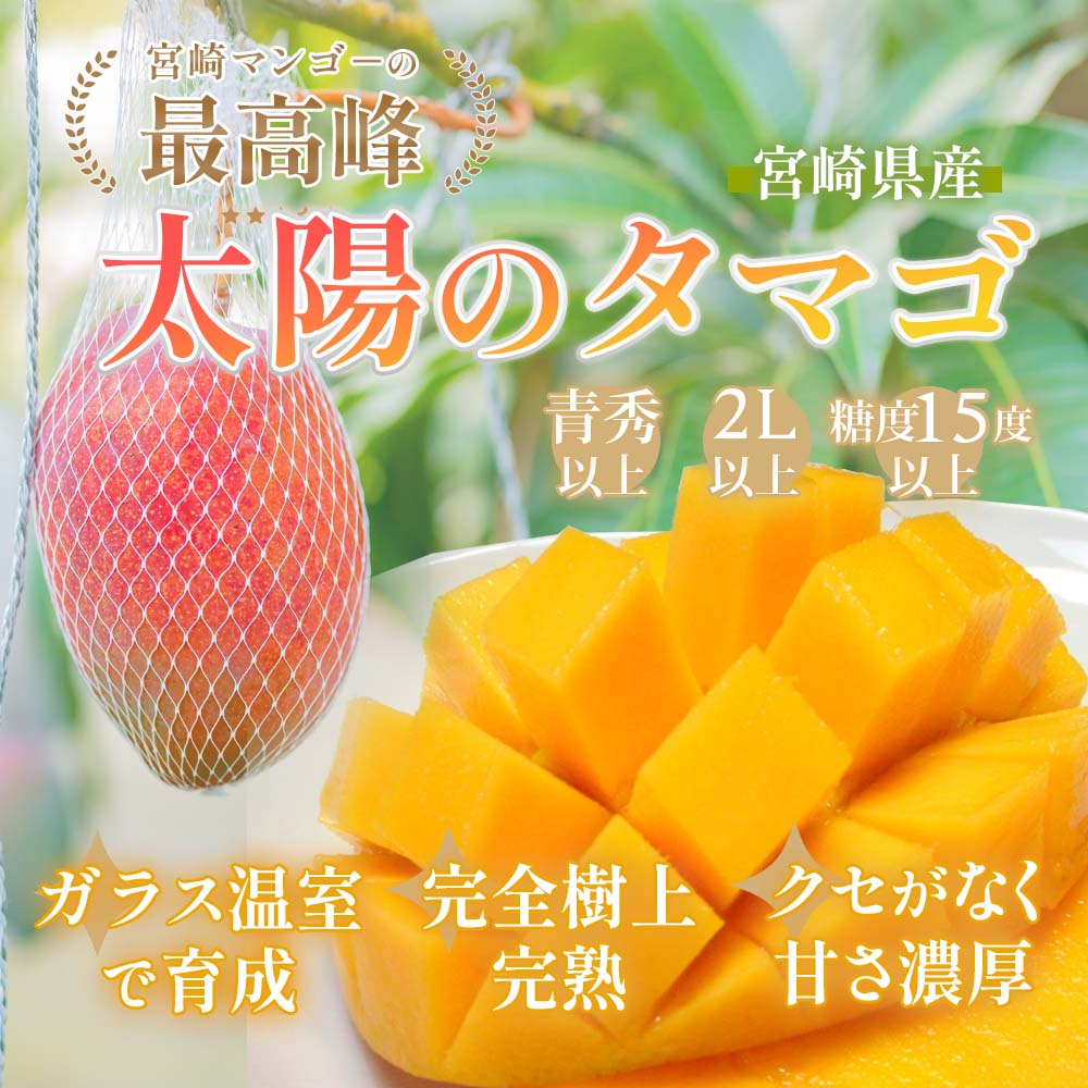 宮崎県産完熟マンゴー「太陽のタマゴ」