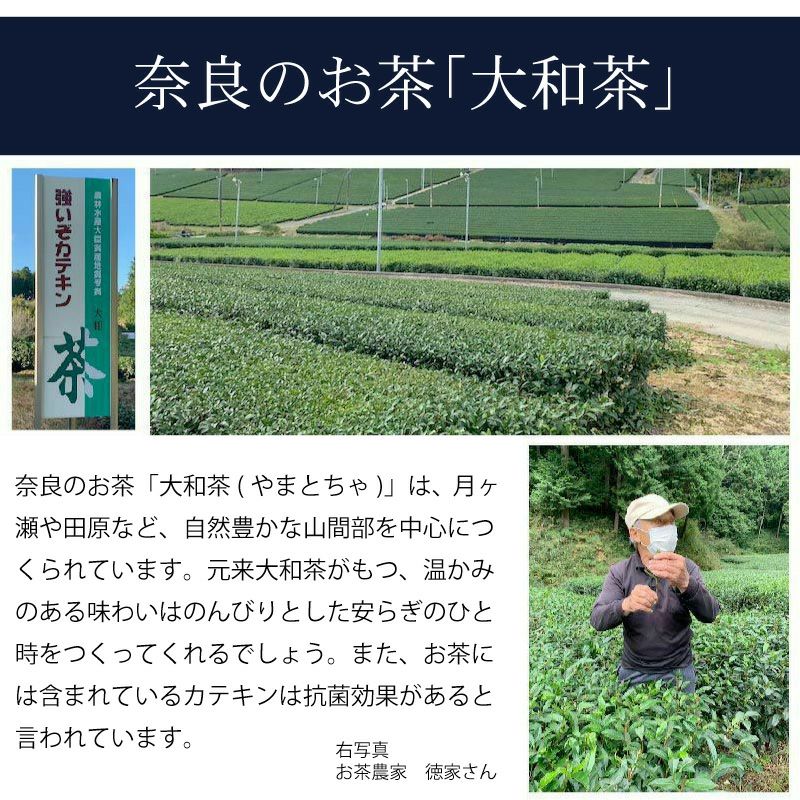 【訳あり・色味違い】雪駄 大きいサイズ 3L -Re:休- 奈良大和茶染め 小千谷縮（赤白縞） のぞき花緒 メンズ R2031Z-3L | 大和工房 | 08