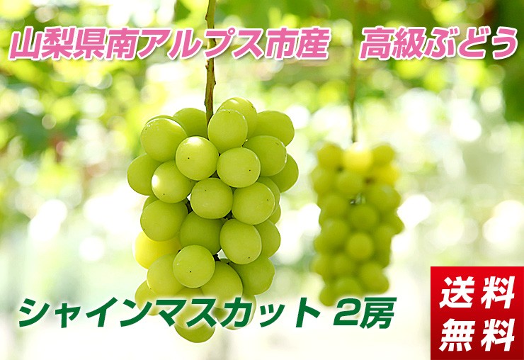高級ぶどう「シャインマスカット」１ｋｇ【送料無料】