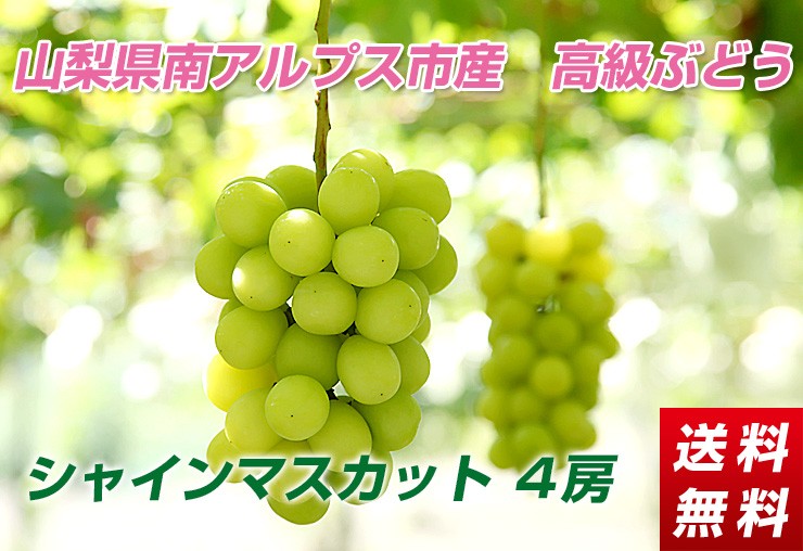 高級ぶどう「シャインマスカット」２ｋｇ【送料無料】