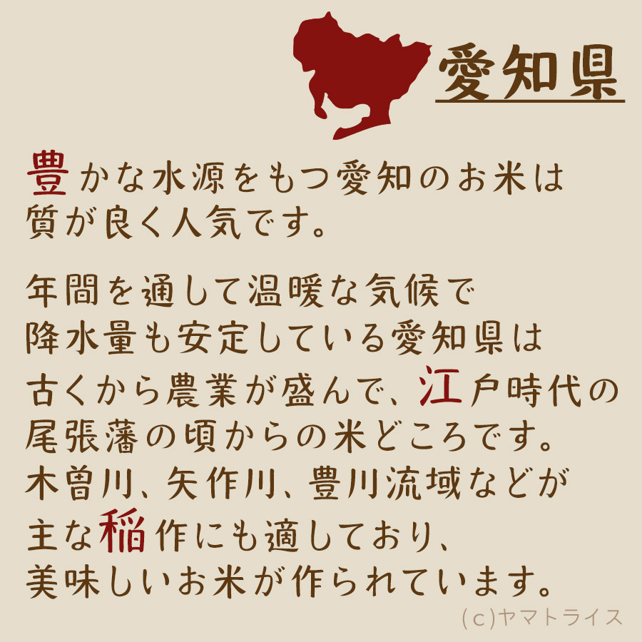 米 お米 10kg あいちのかおり 愛知県産 5kg×2 白米 令和5年産 : 000712