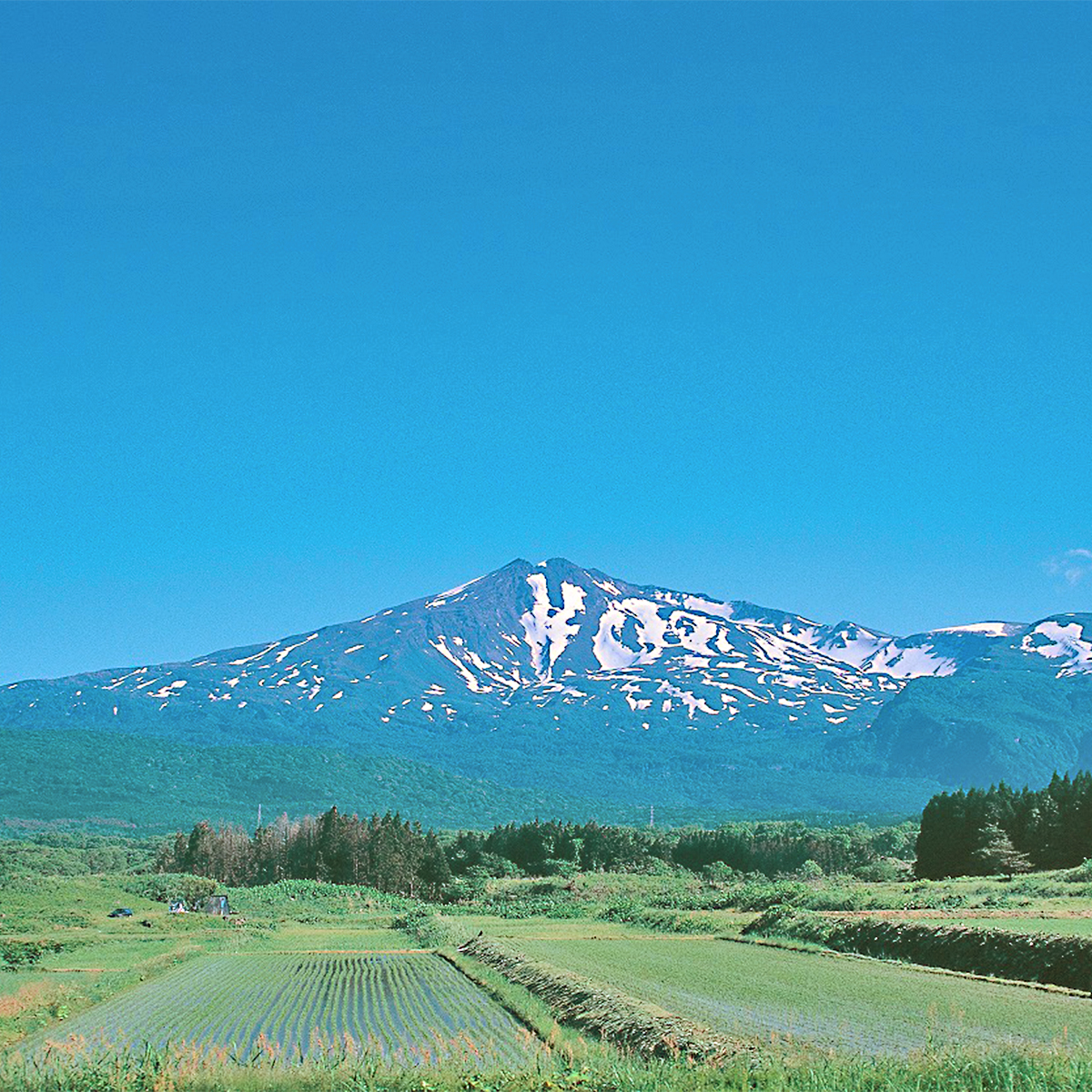 秋田県