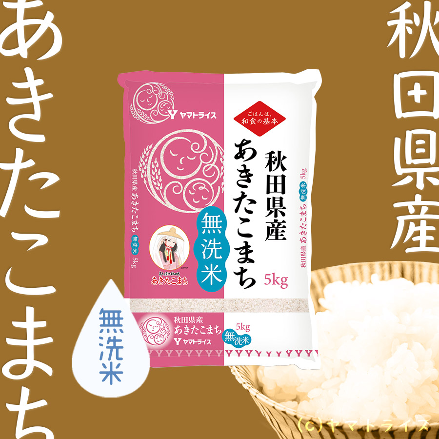 米 お米 あきたこまち 無洗米 米 お米 20kg 秋田県産 5kg×4 令和5年産 