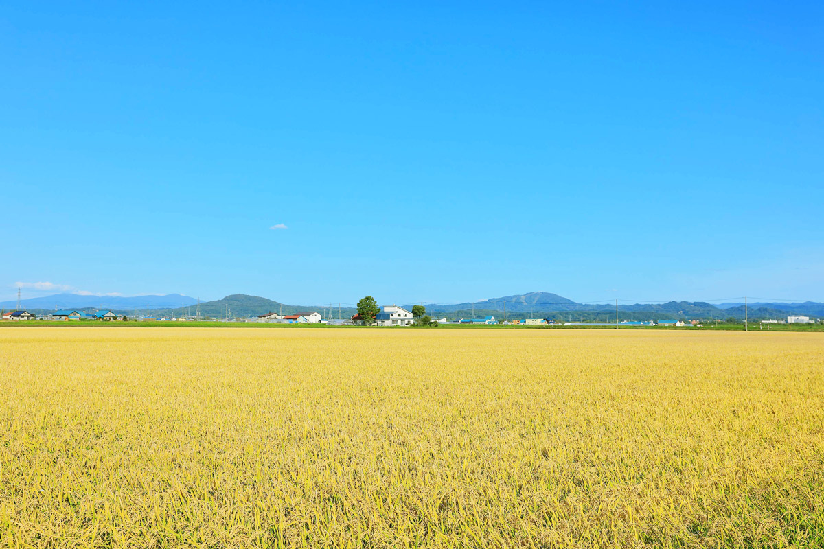 福井県風景