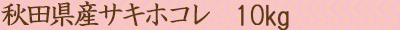 ホコレ10