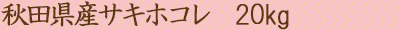 ホコレ20