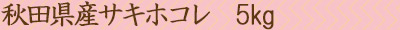 ホコレ5
