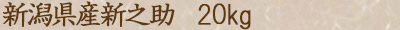 新之助20