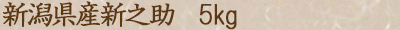 新之助5
