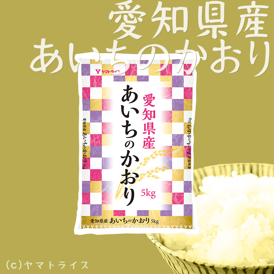 米 お米 10kg あいちのかおり 愛知県産 5kg×2 白米 令和5年産 : 000712