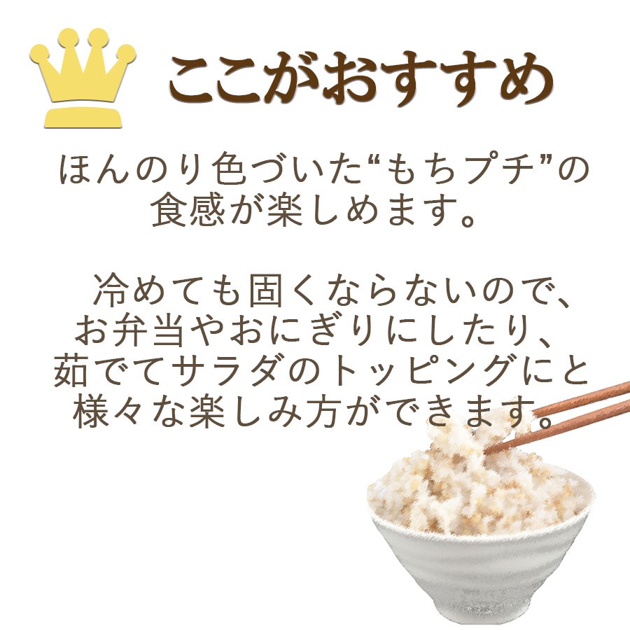 紫もち麦 国産 ダイシモチ 3kg (300g×10袋) 滋賀県産 :004619-10:ヤマトライス Yahoo!ショッピング店 - 通販 -  Yahoo!ショッピング