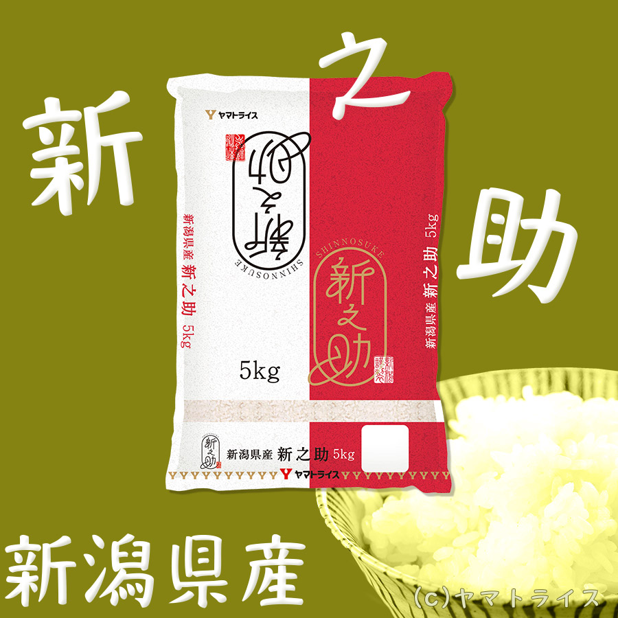 新之助1