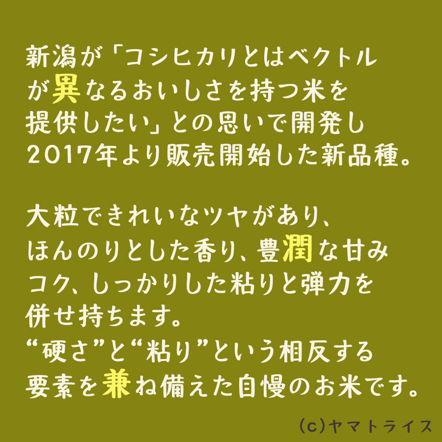 新之助2