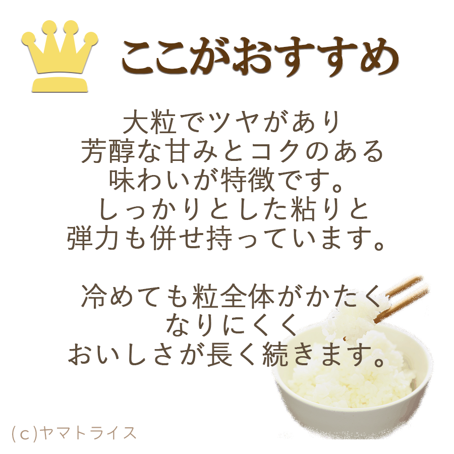 ここがおすすめ新之助