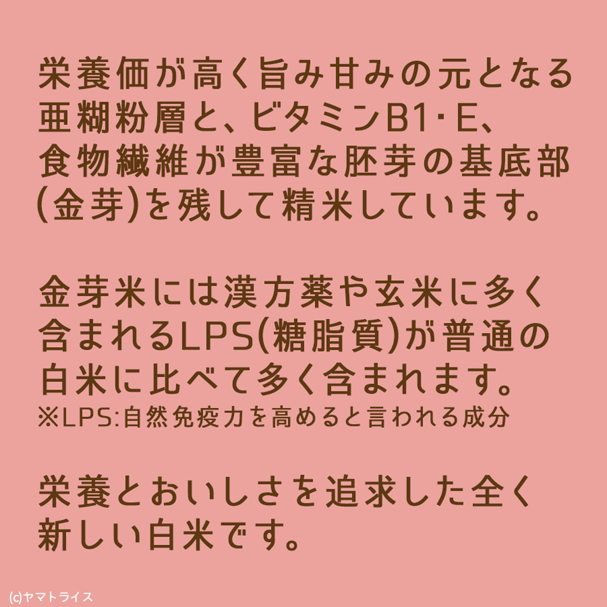 お米 15キロ〜17キロ yamatorice_007117-2