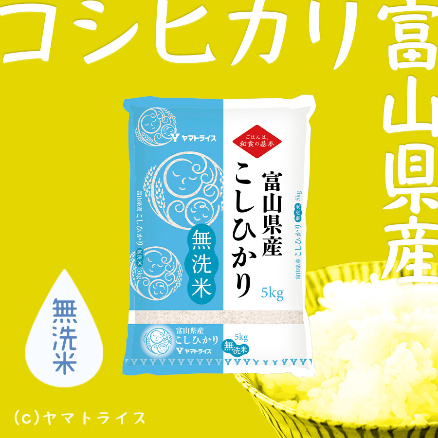 激安先着 コシヒカリ 無洗米 20kg 5kg×4 富山県産 お米 米 令和4年産 米、ごはん