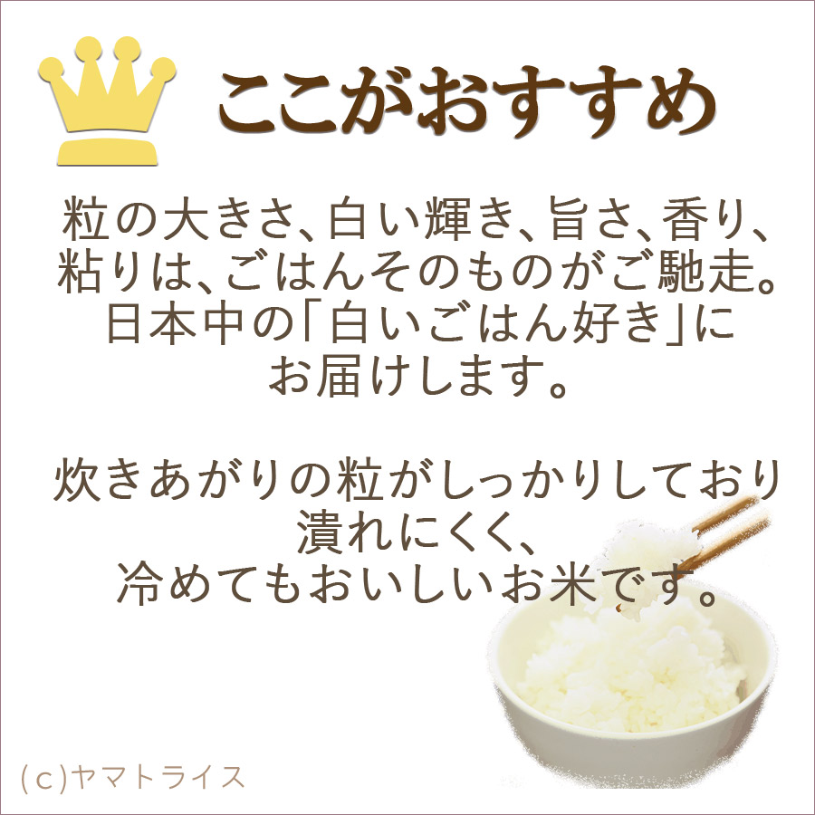 ここがおすすめつや姫