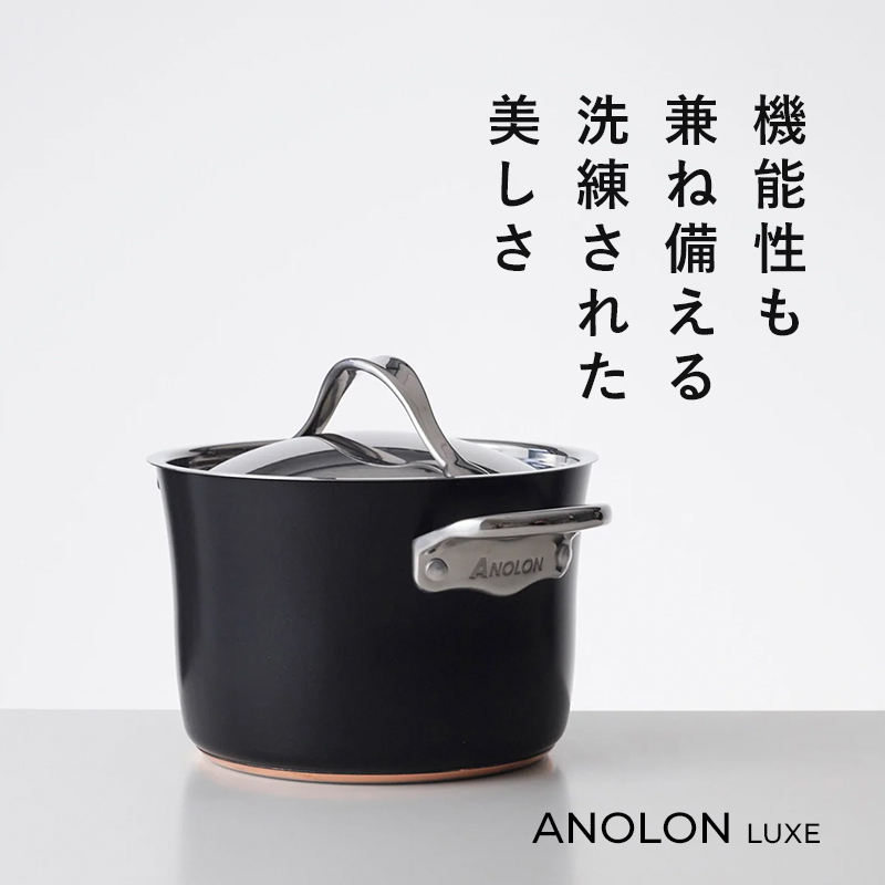 MEYER（マイヤー） 特典付 アナロン ルクス 両手鍋 20cm MEYER ガス