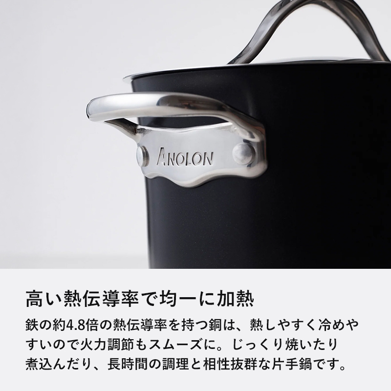 MEYER（マイヤー） 特典付 アナロン ルクス 両手鍋 20cm MEYER ガス