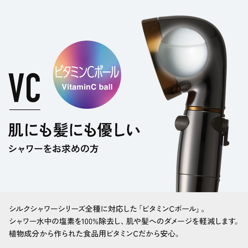 Arromic（アラミック） 特典付 シルクシャワーシリーズ専用 ビタミンC