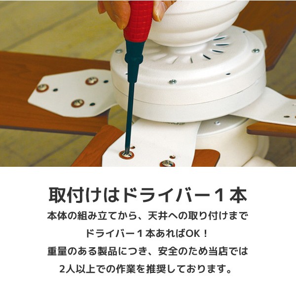 plus more 特典付 plusmore シーリングファン Windouble ウィン
