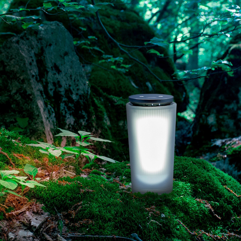 cado（カドー） 特典付 BRAIN SLEEP CLOCK ブレインスリープクロック