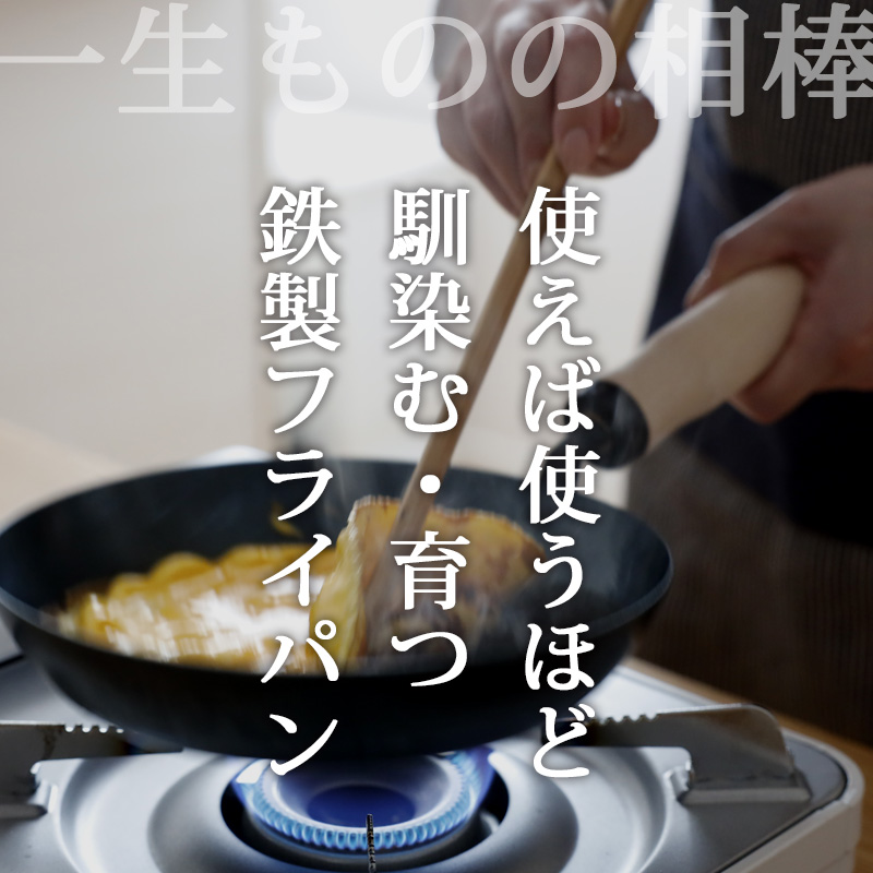 FUJITA KINZOKU 特典付 オリジナル おいしく育てる鉄フライパン 20cm