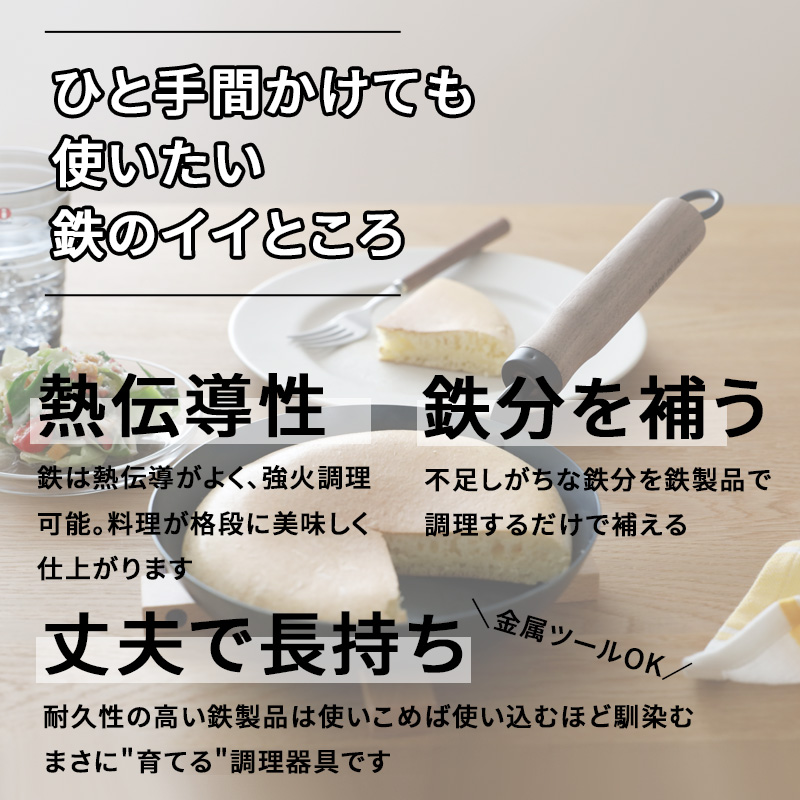 FUJITA KINZOKU 特典付 オリジナル おいしく育てる鉄フライパン 20cm