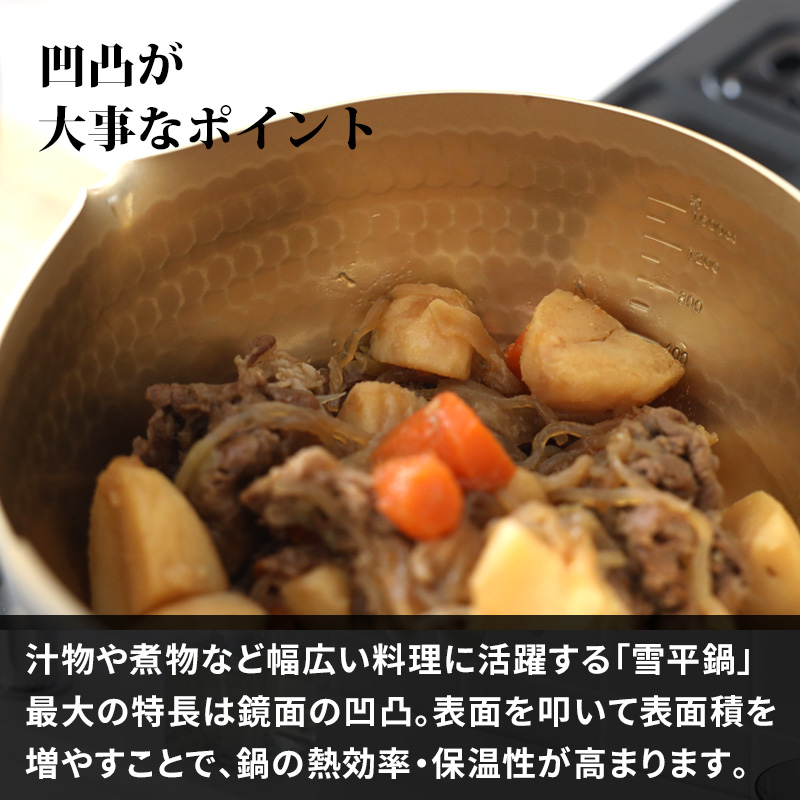 フジイ 特典付 藤田金属 究極の雪平鍋20cm 片手鍋 雪平鍋 行平鍋