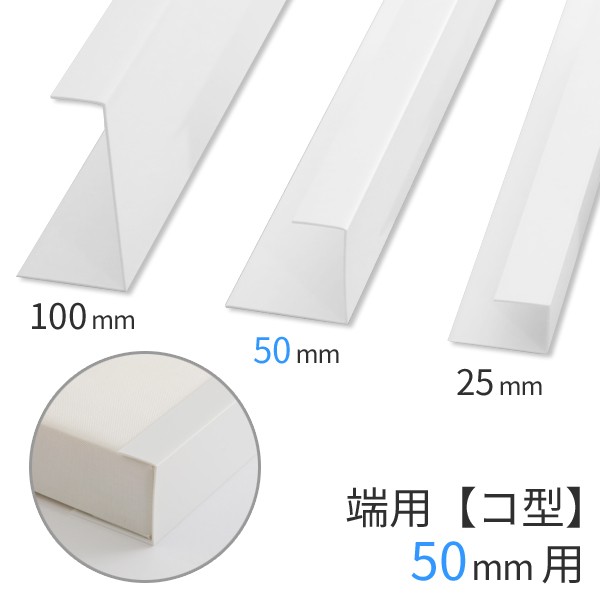 取り付けジョイナー100mm／コ型（端用） 標準タイプ 長さ2,730mm GC