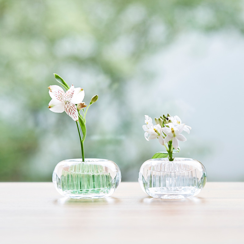d 特典付 ミチクサ h concept 生け花 花瓶 一輪挿し 透明