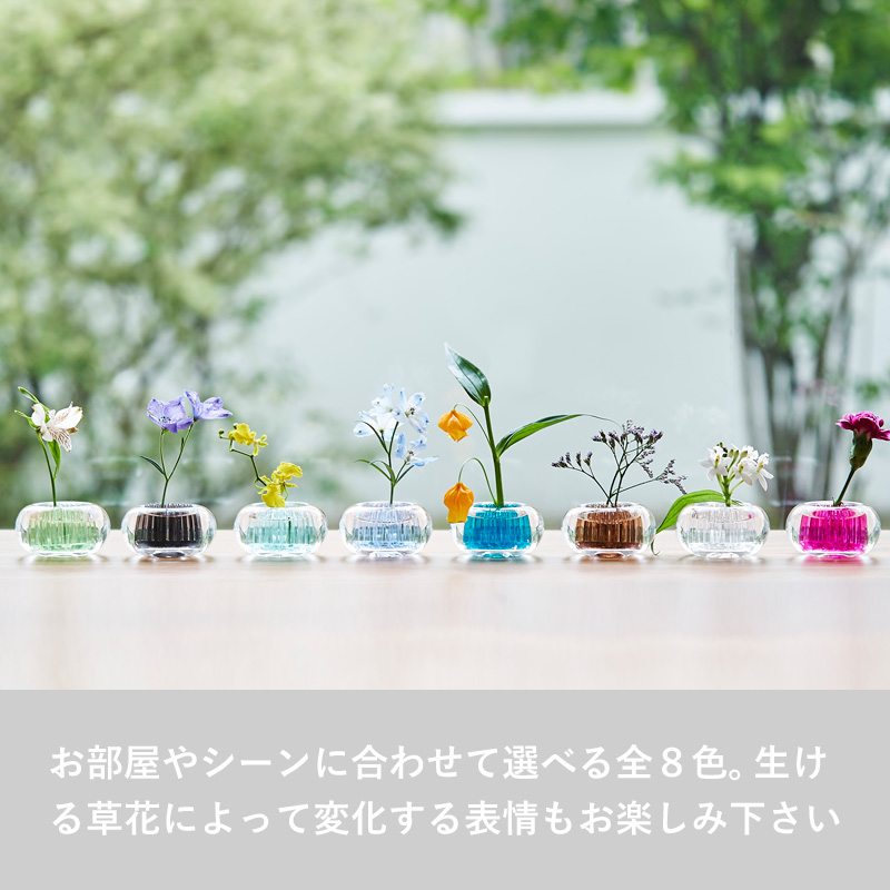 d 特典付 ミチクサ h concept 生け花 花瓶 一輪挿し 透明 d 特典付 ミチクサ h concept 生け花 花瓶 一輪挿し 透明
