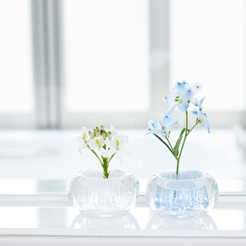 （セール）開催中 人気ブランドも続々プライス h ミチクサ 特典付 d concept 透明 一輪挿し 花瓶 生け花 花瓶・フラワースタンド
