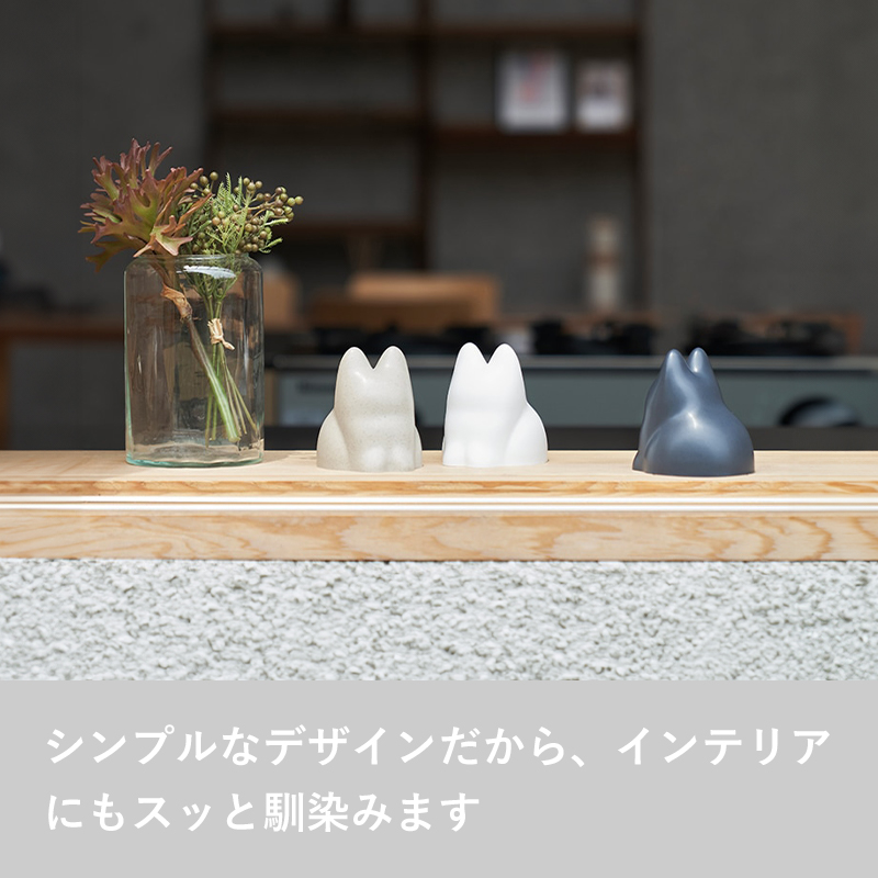 d 特典付 コネコカップ h concept ねこ ネコ 猫 子猫 子ネコ