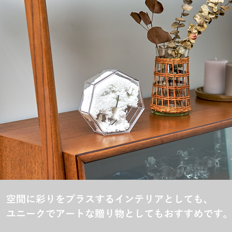 特典付 HATENALABO Cotton clay コットンクレイ h concept オブジェ