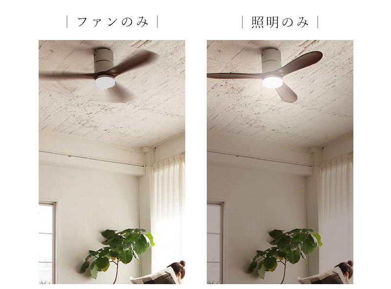JAVALO ELF 特典付 Modern Collection LEDシーリングファン JE-CF004M