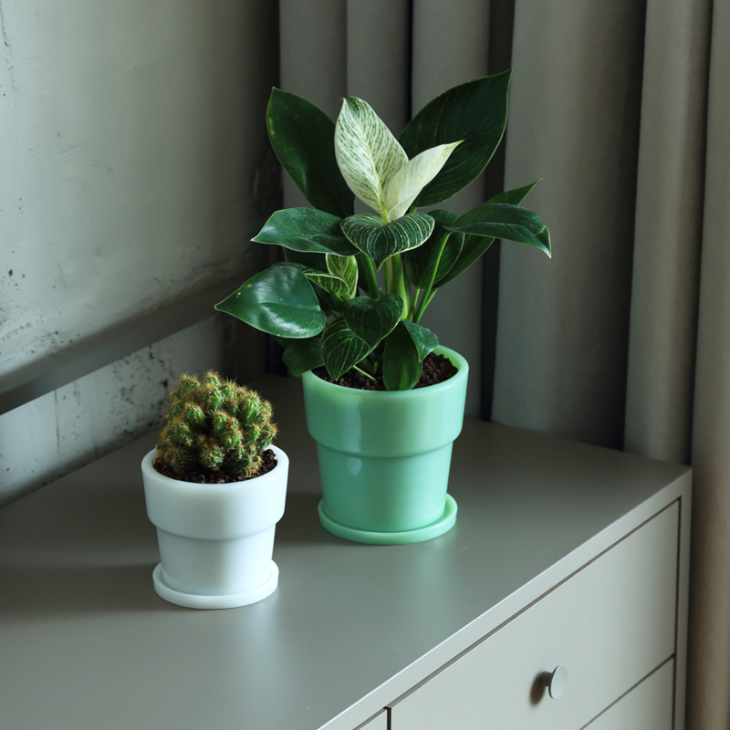 id-mglass-pot3_10.jpg