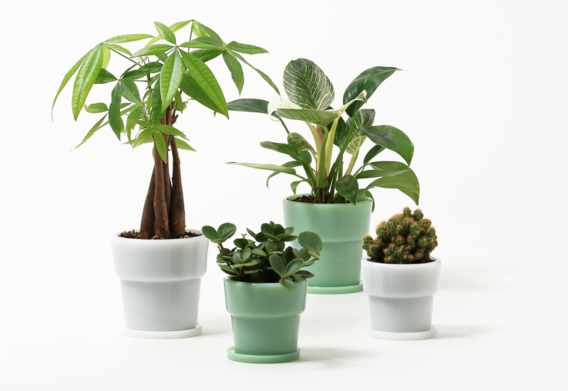 楽天市場】植木鉢 4号 ミルクガラス プランター イデアコ 鉢植え